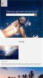 Mobile Screenshot of myvize.net
